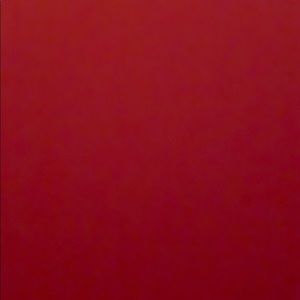 Meet your Posher, Bailey